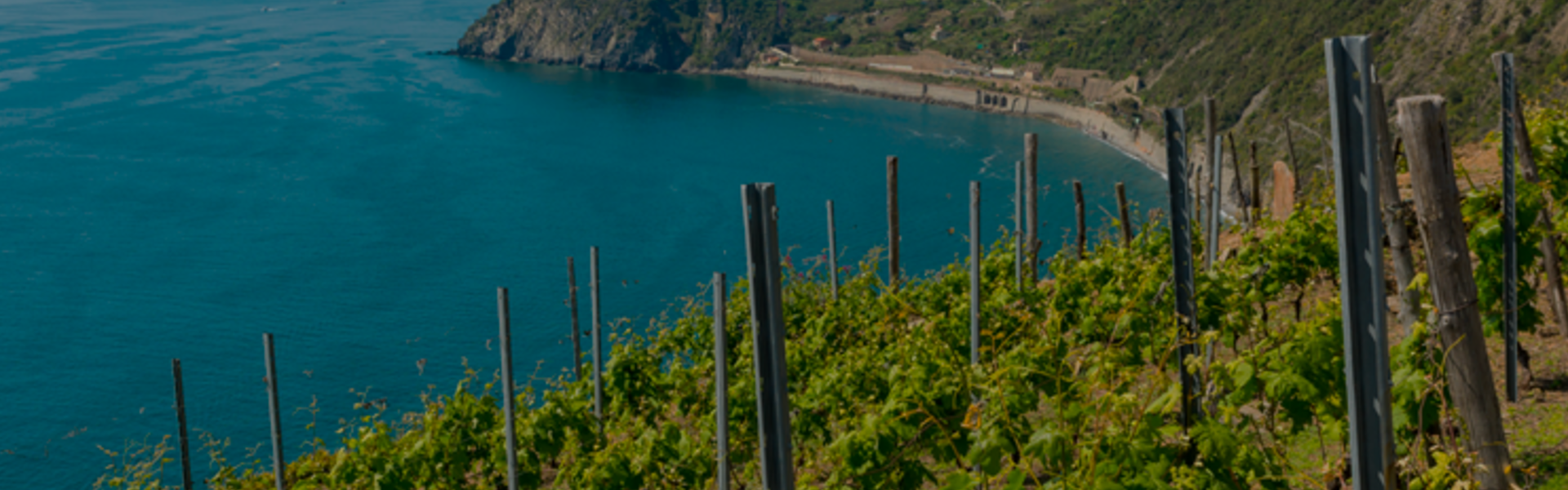 Offerte di giugno