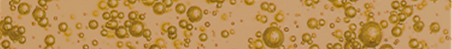 BOLLICINE DA CAMPIONI