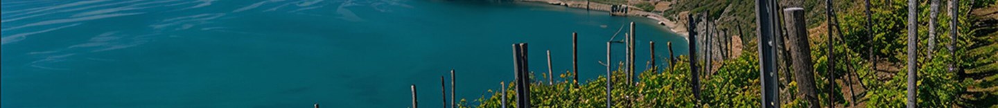 La Viticultura Eroica