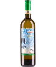 Verdicchio dei Castelli di Jesi Riserva Classico Rincocca BIO