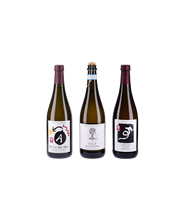 Box Slow Wine "Brindisi Italiano"