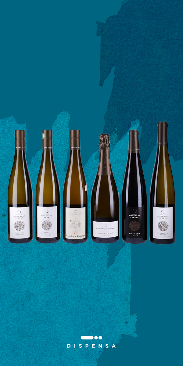 Box Slow Wine "I tesori dell'Alsazia"