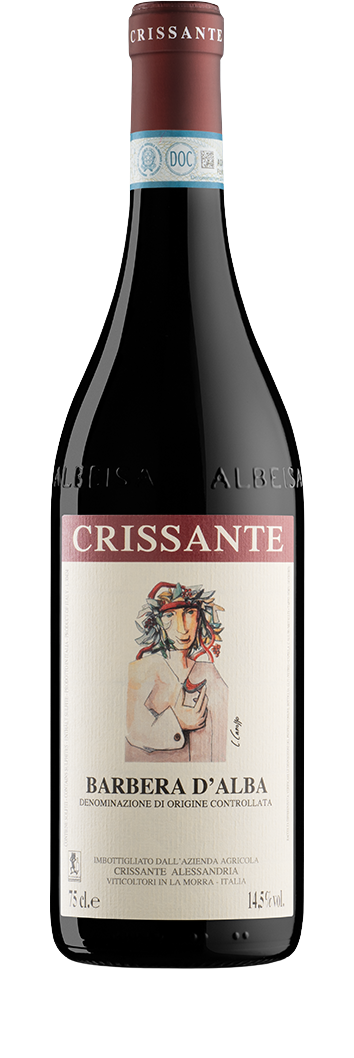 Barbera d' Alba DOC 2024