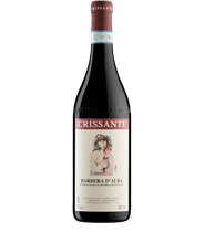 Barbera d' Alba DOC 2024