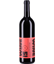 Dolcetto d' Alba DOC 2024