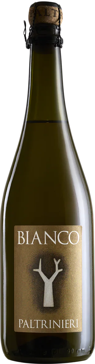 Vino Bianco dell'Emilia IGT 2025