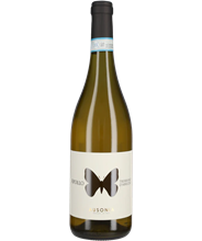 Trebbiano d'Abruzzo Apollo 2024 BIO