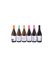 Box Slow Wine "Bollicine Ribelli"