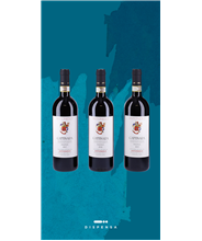 Box Verticale "Antoniolo Gattinara"