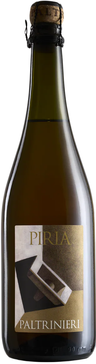 Lambrusco di Sorbara DOC Piria 2024