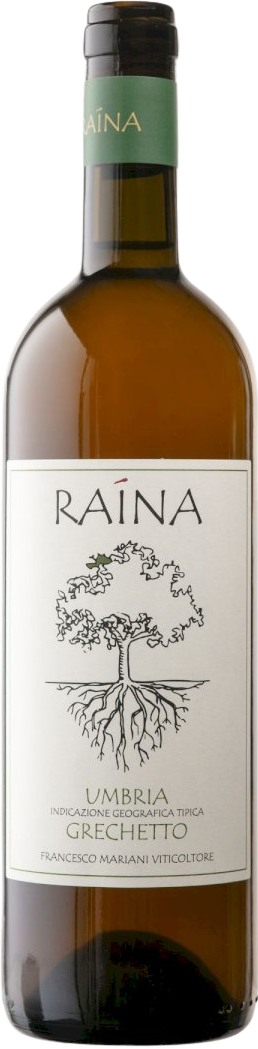 Grechetto Umbria IGT 2024