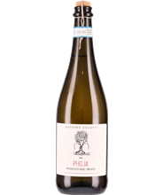 Phoja Prosecco DOC Treviso