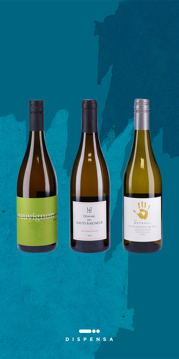 Box "Sauvignon in Viaggio"