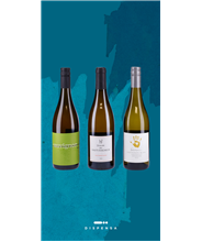 Box "Sauvignon in Viaggio"