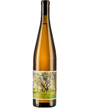 Willamette Valley Grüner Veltliner