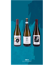 Box Slow Wine "Brindisi Italiano"