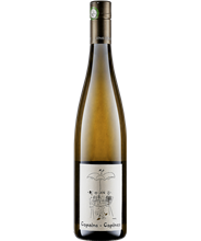 Cuvee Copains Copine White BIO