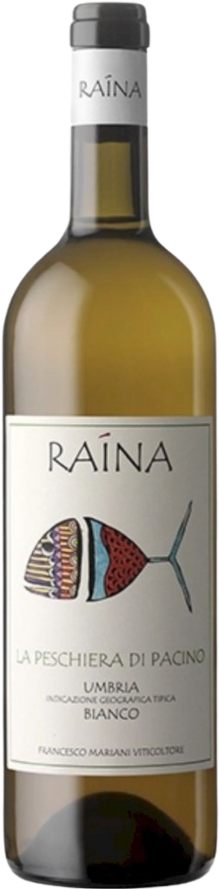 Pescheria di Pacino Umbria Bianco IGT 2024
