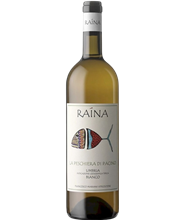 Pescheria di Pacino Umbria Bianco IGT 2024