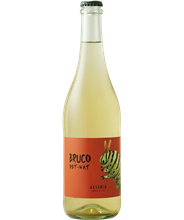 Colli Aprutini Bianco Frizzante IGT Bruco BIO